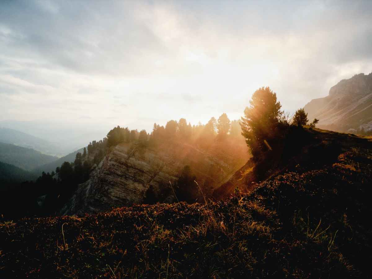 「イエスの福音」に生きる / Living in the “gospel of&nbsp;Jesus”