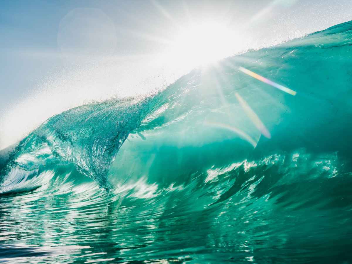 教会とは？// What Is A&nbsp;Church?